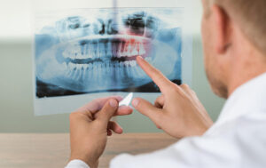 All about studying dentistry